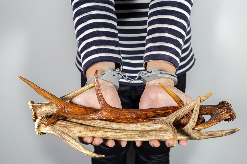 Eco-Friendly Plant Pot Disposal Solutions